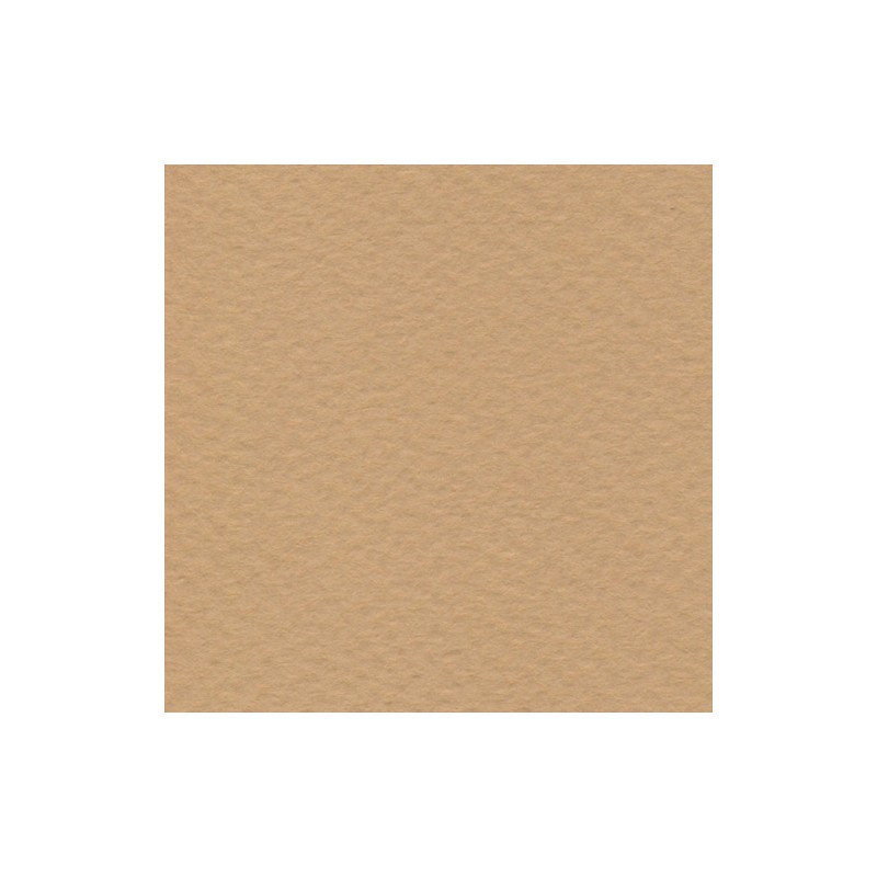 Cartulina de Arte Importada Fabriano Tiziano Mandorla 70X100 160 G 112K
