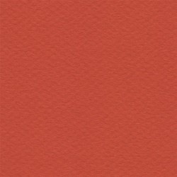 Cartulina Mi-Teintes Canson 506 Coquelicot de 160 G 50X65 CM