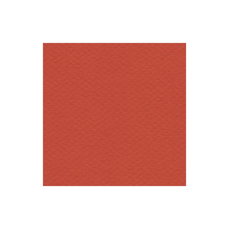 Cartulina Mi-Teintes Canson 506 Coquelicot de 160 G 50X65 CM