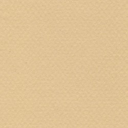 Cartulina Mi-Teintes Canson 470 Mais de 160 G 50X65 CM