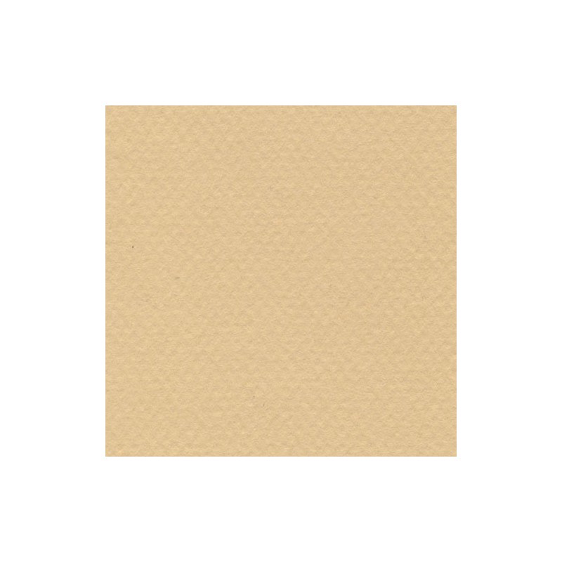 Cartulina Mi-Teintes Canson 470 Mais de 160 G 50X65 CM
