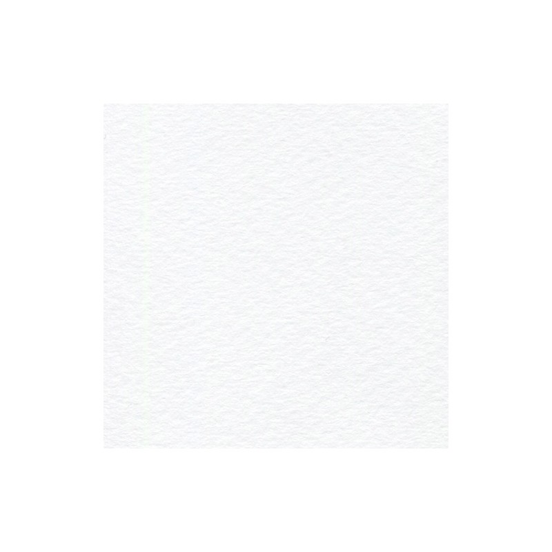 PAPEL RUSTICUS 95G 72X101CM