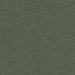 Cartulina Mi-Teintes Canson 448 Vert Ocean de 160 G 50X65 CM