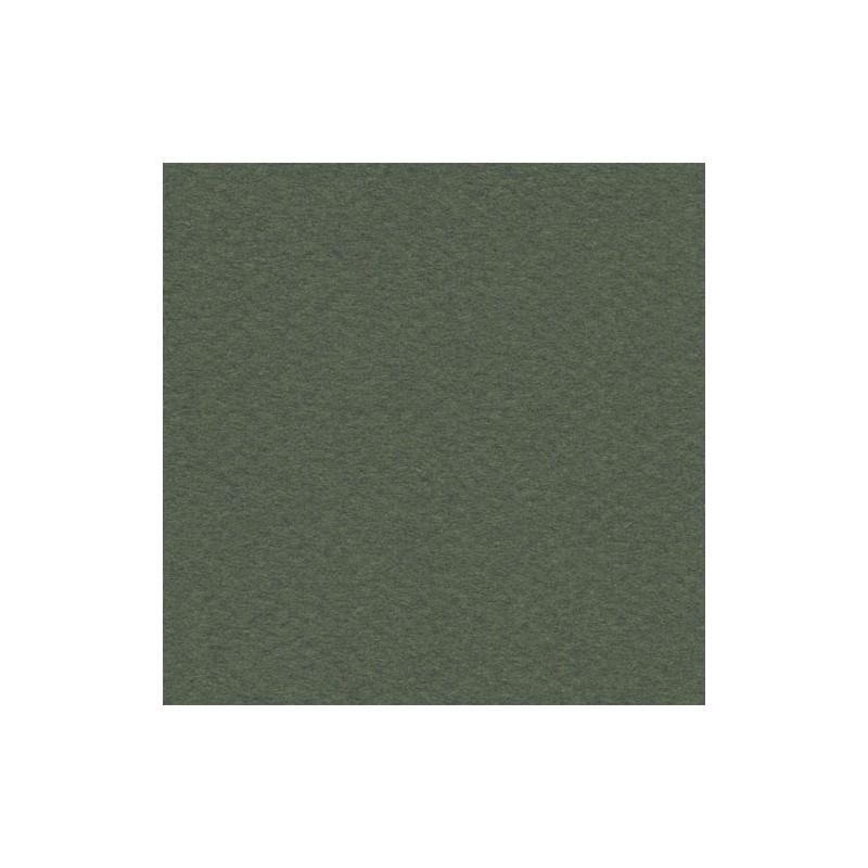 Cartulina Mi-Teintes Canson 448 Vert Ocean de 160 G 50X65 CM