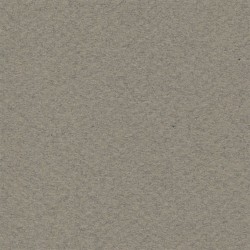 Cartulina Mi-Teintes Canson 429 Gris Fumee de 160 G 50X65 CM