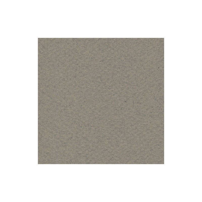 Cartulina Mi-Teintes Canson 429 Gris Fumee de 160 G 50X65 CM