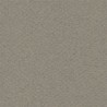 Cartulina Mi-Teintes Canson 429 Gris Fumee de 160 G 50X65 CM