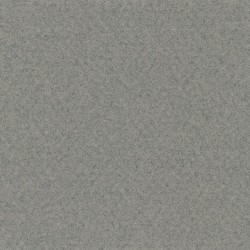Cartulina Mi-Teintes Canson 431 Gris Chine de 160 G 50X65 CM