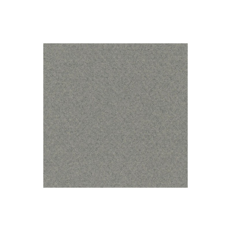 Cartulina Mi-Teintes Canson 431 Gris Chine de 160 G 50X65 CM
