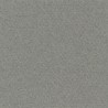 Cartulina Mi-Teintes Canson 431 Gris Chine de 160 G 50X65 CM