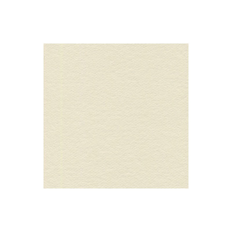 Cartulina Rosaspina | Papelería Lienzo de…