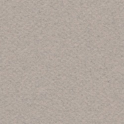Cartulina Mi-Teintes Canson 426 Gris Clair de 160 G 50X65 CM