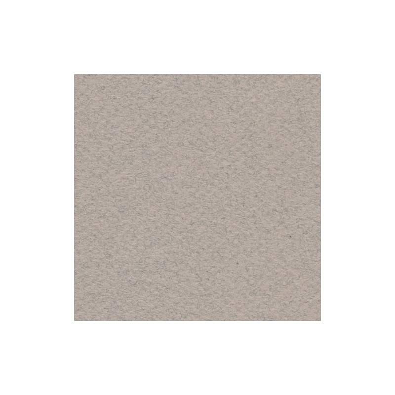 Cartulina Mi-Teintes Canson 426 Gris Clair de 160 G 50X65 CM