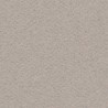Cartulina Mi-Teintes Canson 426 Gris Clair de 160 G 50X65 CM
