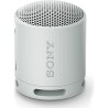 Bocinas inalámbricas Sony Srs xb100 Srs-xb100/Hcla