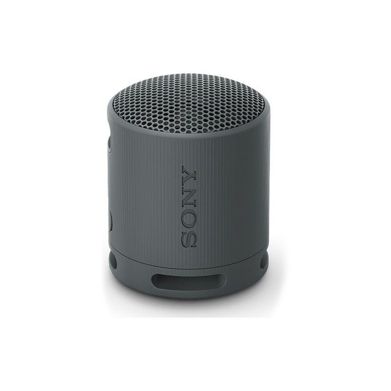 Bocina inalámbrica portátil Sony color negro