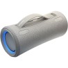Bocina Portátil Sony Serie XG300 Gris